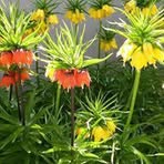 Colleen Lerum - Facebook Profile Picture of Colleen Lerum (@colleen.lerum.1) on Facebook