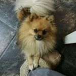 Profile Picture of Steve Spangenberg (@steve_spangenberg) on Instagram