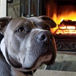 Profile Picture of Walter Albertson (@xrayguy03) on Instagram
