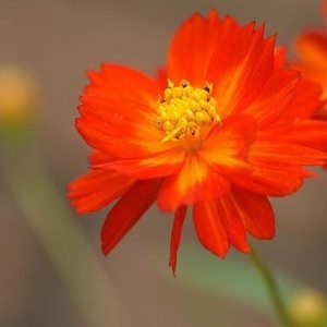 Jack Phan - Myspace Profile Picture of Jack Phan (@235747665) on Myspace