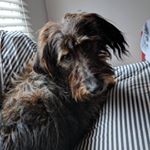 Kimberly Mathie - Instagram Profile Picture of Kimberly Mathie (@mathiekimberly) on Instagram