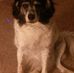 Profile Picture of Neal N Fontenot (@Neal-N-Fontenot) on Facebook