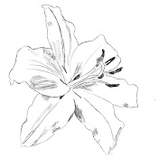 Profile Picture of Art With Isa Nieves Gomez (@cookingwithisabellanieves789) on Youtube