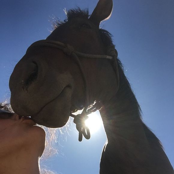 Profile Picture of Amy Brounstein (@amy_starr) on Poshmark