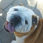 Profile Picture of Darrell Flynn (@darrellflynn2) on Instagram