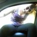 Profile Picture of Rosa Wise (@rosawise17) on Pinterest