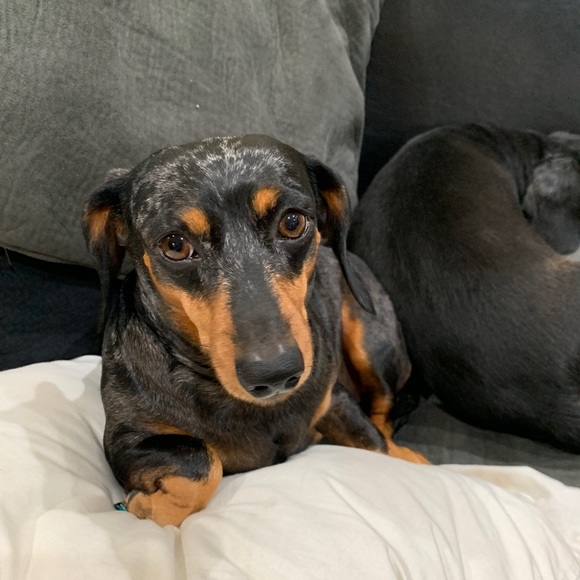 Profile Picture of Barbara Duffina (@bduffina) on Poshmark