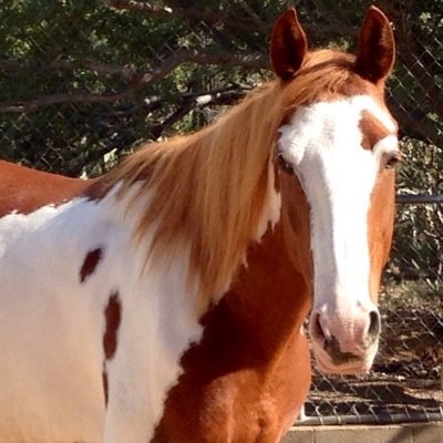 Profile Picture of Casey Hoyt (@Hoytclan6Casey) on Twitter