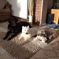 Profile Picture of Glenna Hughes (@glenna-hughes-1) on Quora