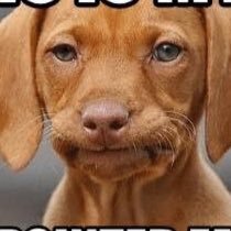 Profile Picture of Janet Plunkett (@JanetPlunkett6) on Twitter