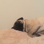 Profile Picture of Gary Kong (@garrrrrrrrry_) on Instagram