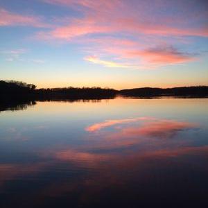 Profile Picture of Chris Cone (@chriscone8) on Twitter