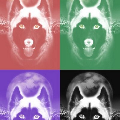 Profile Picture of Martin Eber (@the_best_UZI) on Twitter