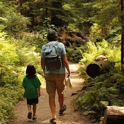 Profile Picture of Eric Novak (@ericnovak) on Twitter