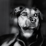 Profile Picture of Andrew Scholtz (@ascholtz101) on Flickr