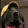 Profile Picture of Nathan Reeder (@@sleepyboi38) on Tiktok