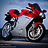 Profile Picture of Sean Watts (@Sean Watts) on Flickr