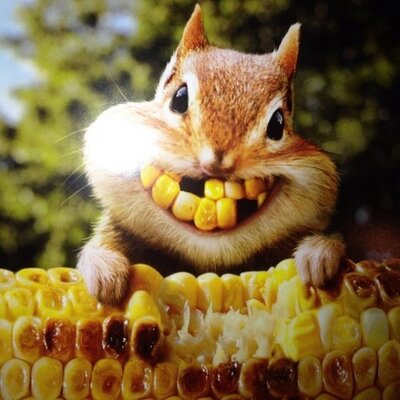 Profile Picture of Tracey Ring (@ring_tracey) on Twitter