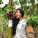Profile Picture of Paula Capone 🌻🐝🍃 (@agroforestry_girl) on Instagram