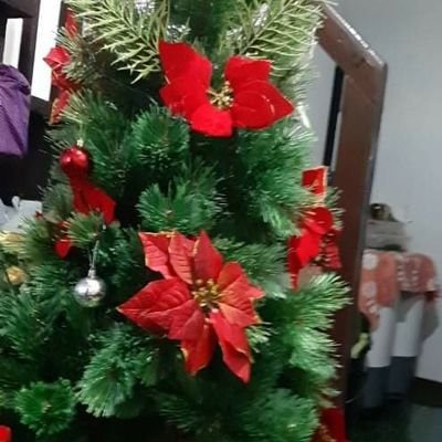 Profile Picture of Marilyn Peralta (@marilyn44109159) on Twitter