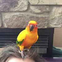 Profile Picture of Cassandra Campbell (@cassandra-campbell-20) on Quora