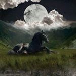 Profile Picture of Abir Massri (@ahmedzarka90) on Instagram