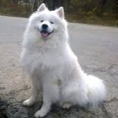 Profile Picture of Patrick Bennett (@patrickb0734) on Pinterest