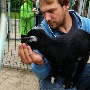 Profile Picture of Daniel Burkhard (@hanswurschtiger) on Twitter