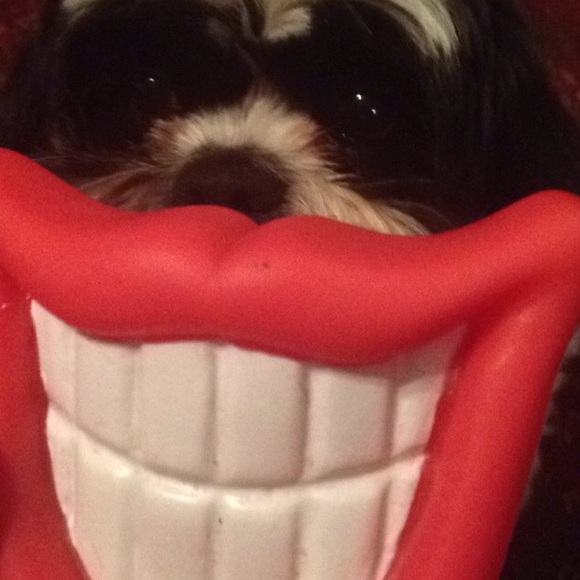 Profile Picture of Tatyana Kirichenko (@tatyunc33) on Poshmark