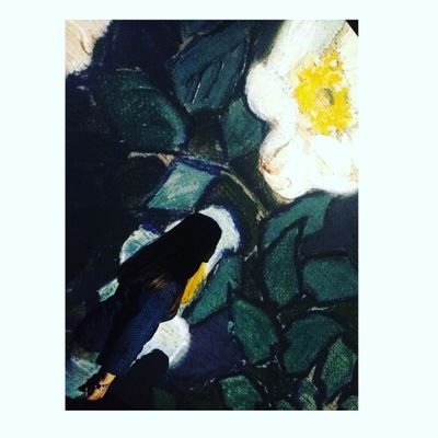 Profile Picture of Amanda Min (@Amanda39964524) on Twitter