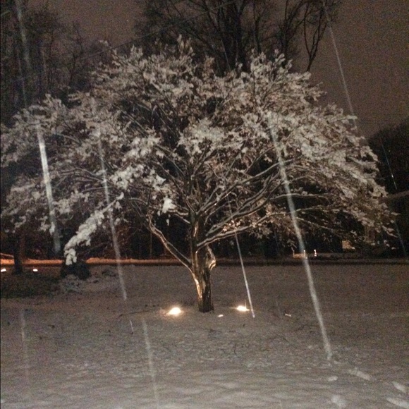 Profile Picture of Alex Fischer (@rosefischer) on Poshmark