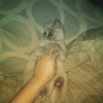 Profile Picture of Kasia Rogulska (@kasia.rogulska.121) on Instagram