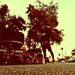 Profile Picture of Brandon Revis (@revlion1luv) on Pinterest