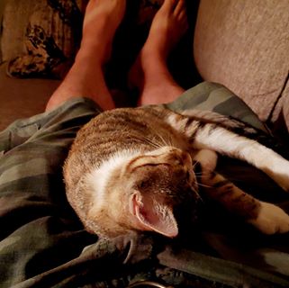 Profile Picture of David Neff (@david.neff.520) on Facebook