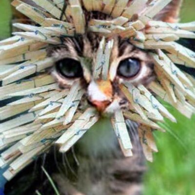 Tracey Garrett - Twitter Profile Picture of Tracey Garrett (@FamilleGarrett) on Twitter