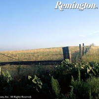 Profile Picture of Kim Bowser (@kim-bowser-1) on Quora