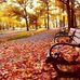 Profile Picture of Autumn Wb (@autumn.wb.1) on Facebook