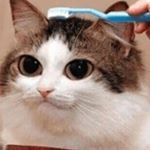 Profile Picture of Musa Jeffery (@musa.jfry) on Instagram