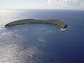 Profile Picture of Molokinion Wikipedia