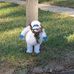 Profile Picture of Ben Welborn (@ben.welborn.737) on Facebook