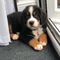 Profile Picture of Beverly Ashcroft (@Beverly-Ashcroft) on Facebook