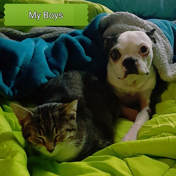 Profile Picture of Pam Knautz (@pknautz13) on Poshmark