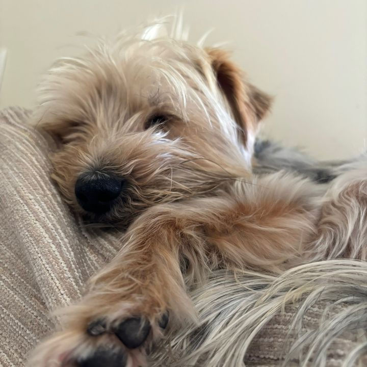 Profile Picture of Toby Tobias (@tobytobias13) on Tiktok