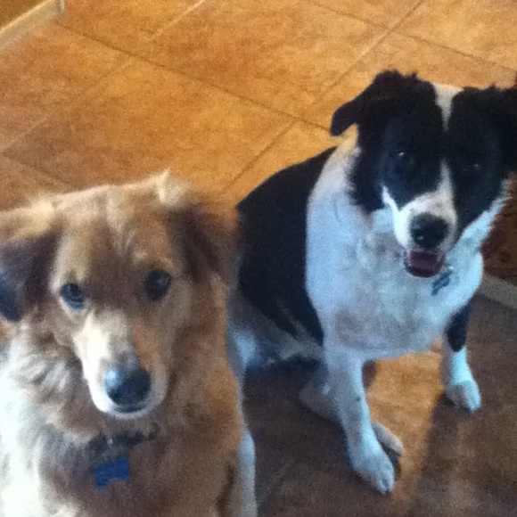 Profile Picture of Soledad Romero (@soledadr02) on Poshmark