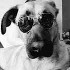 Profile Picture of   Mckenzie Jackson... (@mckenziejackson0) on Tiktok