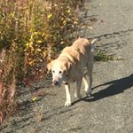 Profile Picture of Randy Hodges (@randyhodges907) on Instagram