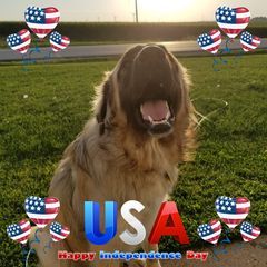 susanlazar4 - Tiktok Profile Picture of susanlazar4 (@susanlazar4) on Tiktok