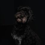 Profile Picture of Jolanda Jeroen Justen Jeffrey Van Beers-Moerenhout (@jolanda_vanbeers_moerenhout) on Instagram