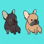 Profile Picture of Bruno & Aaron 🐶 Frenchies🐾 (@bruno_and_aaron_los_bulldog) on Instagram