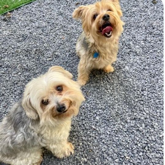 Profile Picture of Claudine (@claudinemartin_) on Tiktok